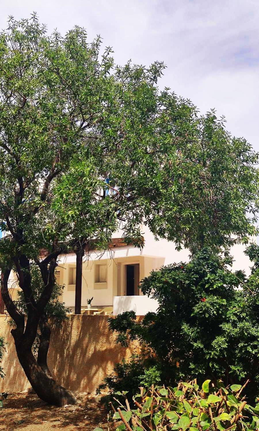 Anthelia Apartments Myrties Dış mekan fotoğraf